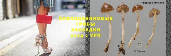 PSILOCYBIN Верхнеуральск